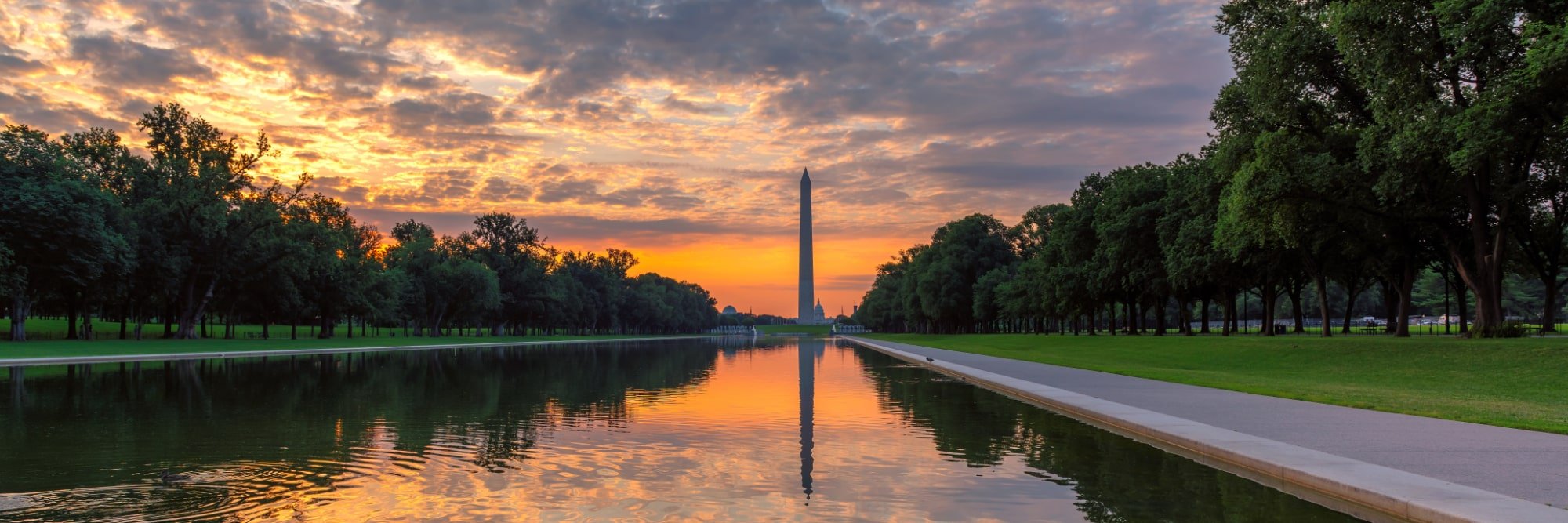 Washington DC