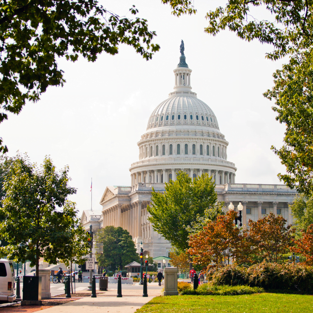 Lobbyit Washington D.C.