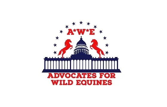 Advocates for Wild Equines